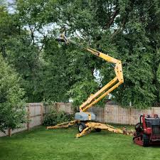 How Our Tree Care Process Works  in Yulee, FL